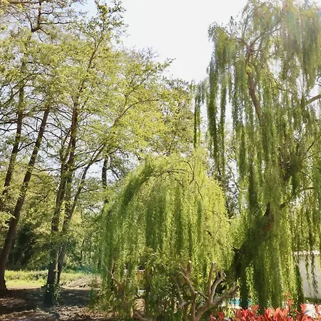 Terra Di A Bravona 아파트 *