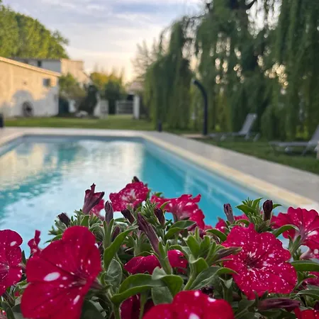 Terra Di A Bravona *