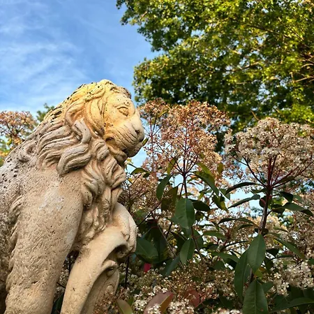 Terra Di A Bravona Linguizzetta