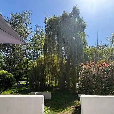 Terra Di A Bravona