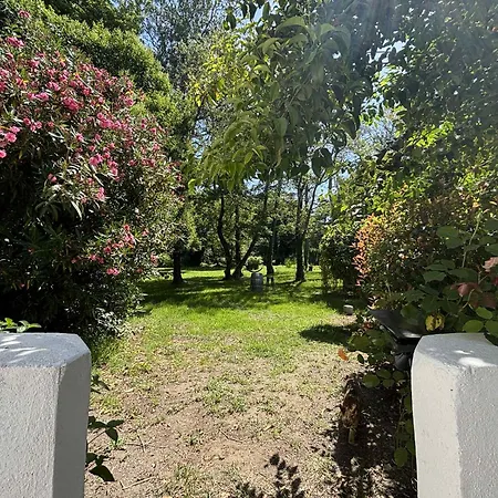 Terra Di A Bravona Apartment Linguizzetta