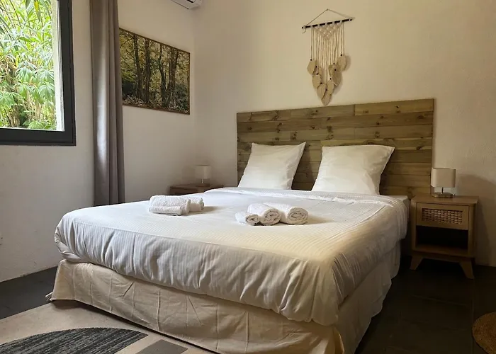 Apartment Terra Di A Bravona