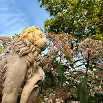 Terra Di A Bravona Linguizzetta