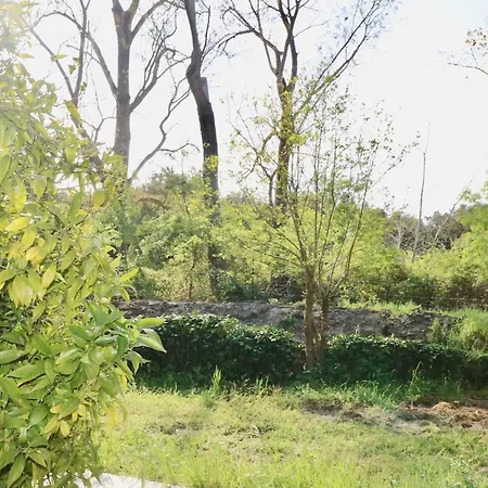 Apartamento Terra Di A Bravona *