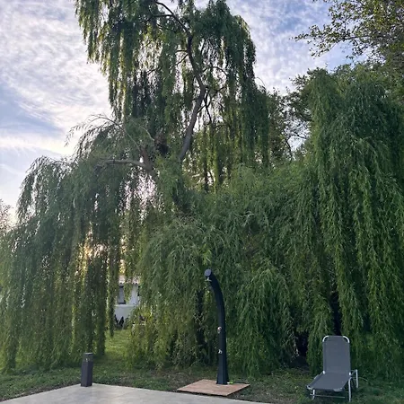 Terra Di A Bravona *