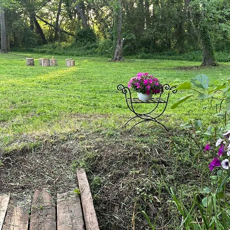 Terra Di A Bravona アパート Linguizzetta