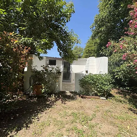 Terra Di A Bravona * Linguizzetta