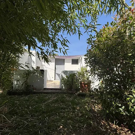 Terra Di A Bravona Linguizzetta