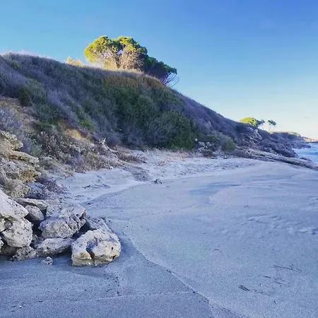 Lejlighed Terra Di A Bravona *