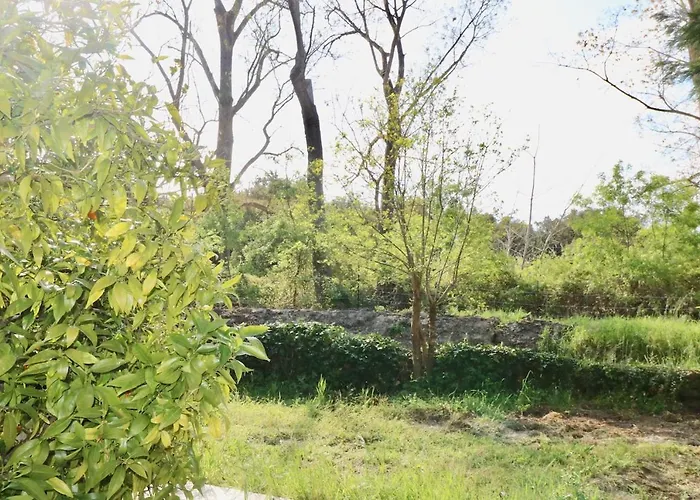 Appartement Terra Di A Bravona *