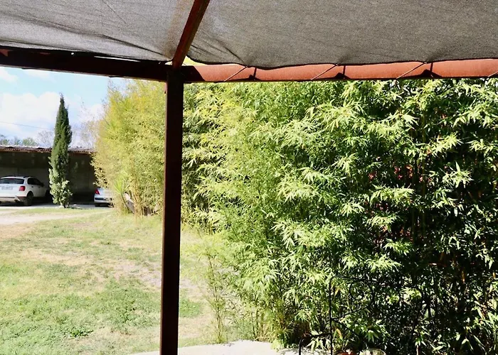 Terra Di A Bravona Linguizzetta