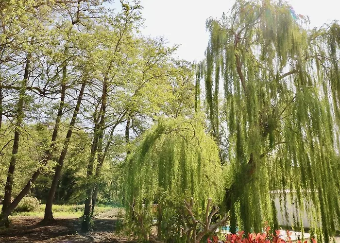 Terra Di A Bravona Appartement *