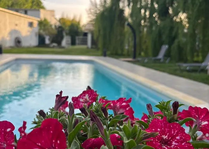 Terra Di A Bravona *