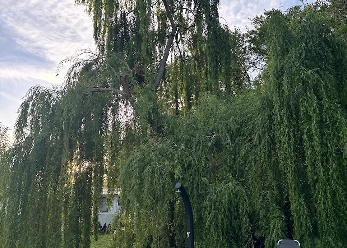 Terra Di A Bravona *