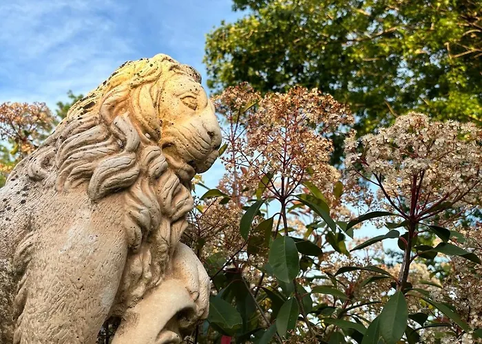 Terra Di A Bravona Linguizzetta