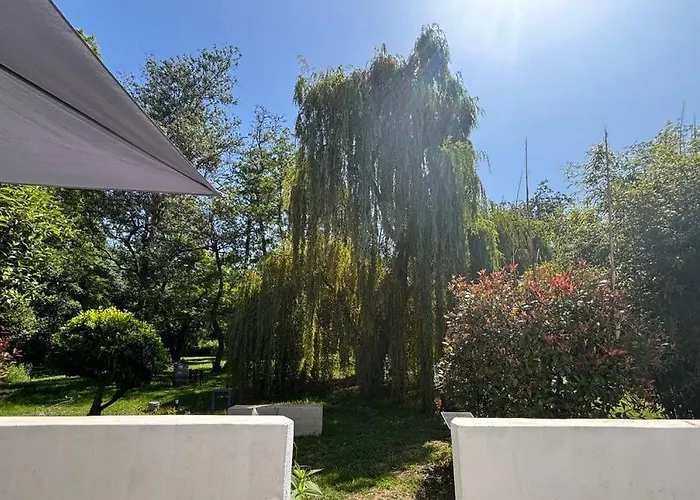 Terra Di A Bravona