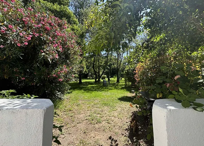 Terra Di A Bravona Appartement Linguizzetta