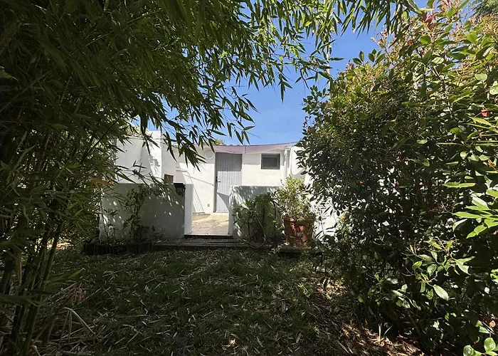 Terra Di A Bravona Linguizzetta